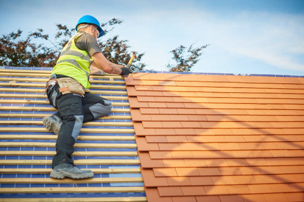 Best Roof Moss and Algae Removal  in Shenandoah Heights, PA